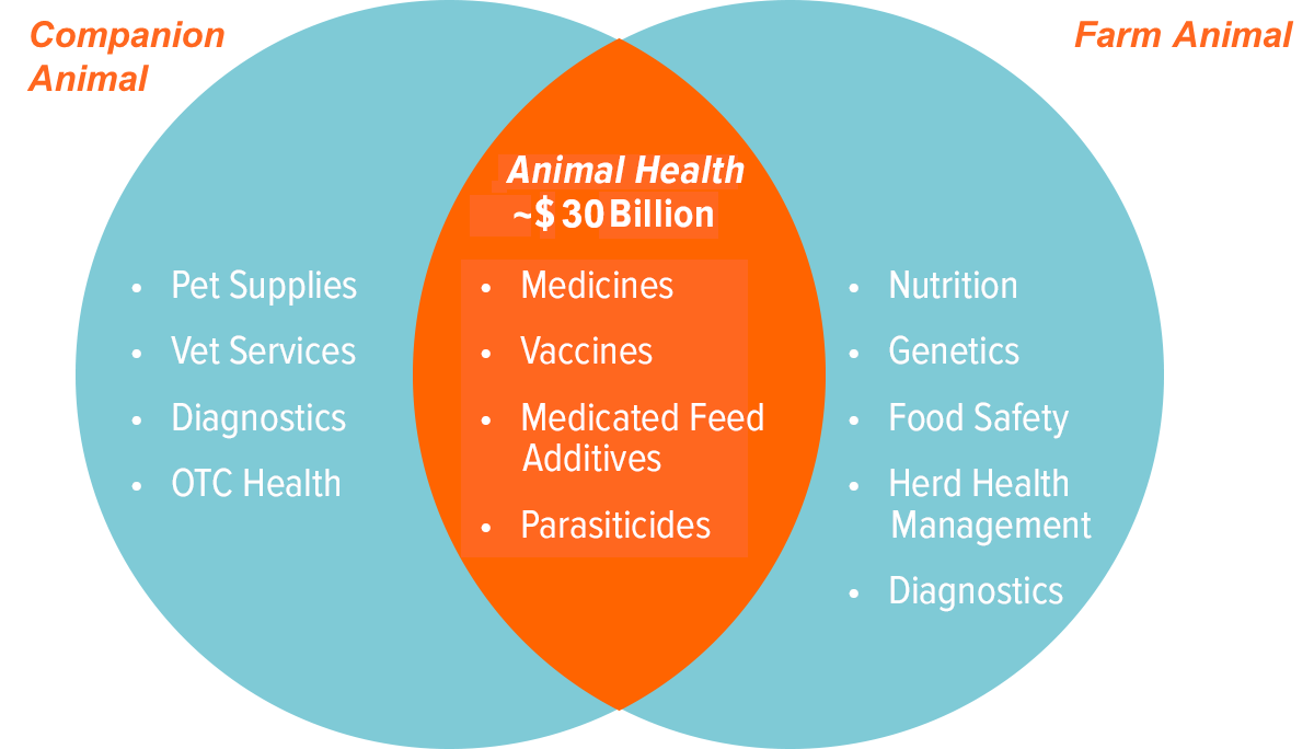 Animal Health | Zoetis